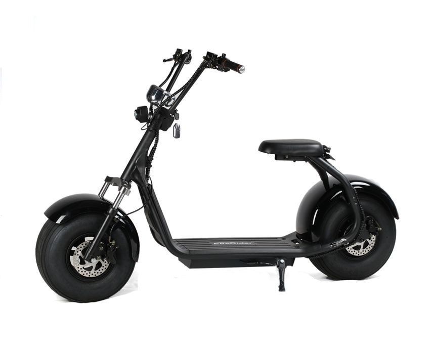 EcoRider EEC Certificate Citycoco LT019 Two Wheel Electric Scooter