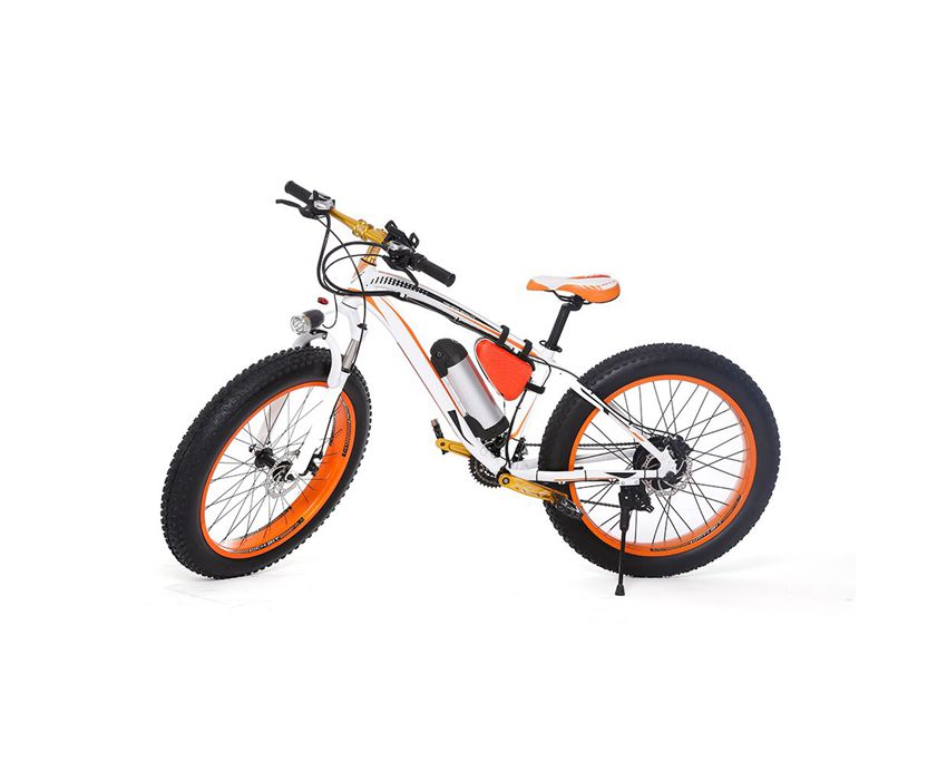 EcoRider E6-5 Two Big Wheel Electric Bike