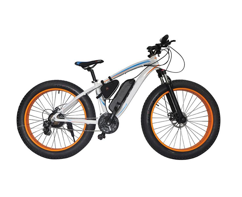 EcoRider E6-5 Two Big Wheel Electric Bike