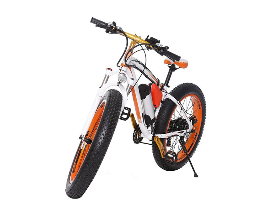 EcoRider E6-5 Two Big Wheel Electric Bike