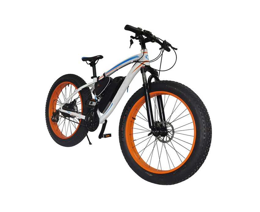 EcoRider E6-5 Two Big Wheel Electric Bike