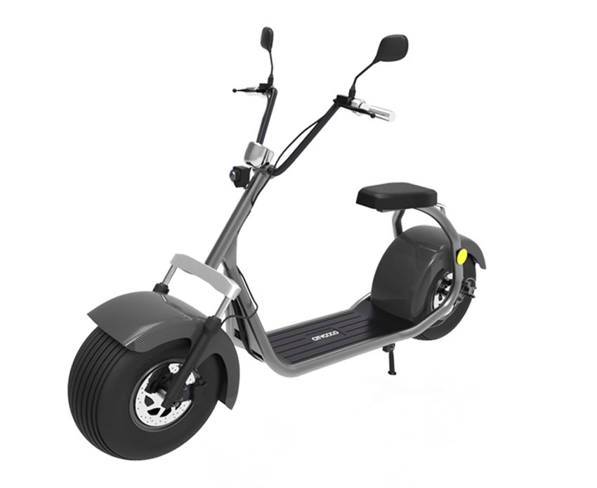 EcoRider EEC Certificate Citycoco LT019 Two Wheel Electric Scooter
