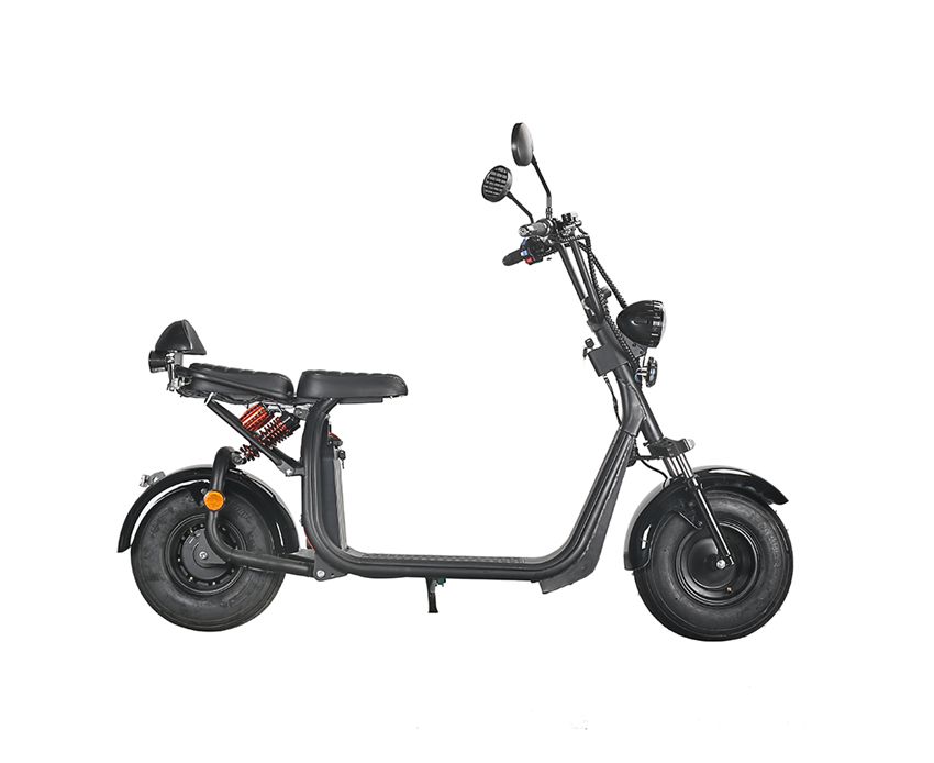 EcoRider EEC Harley Electric Scooter ES056 with Removable Battery