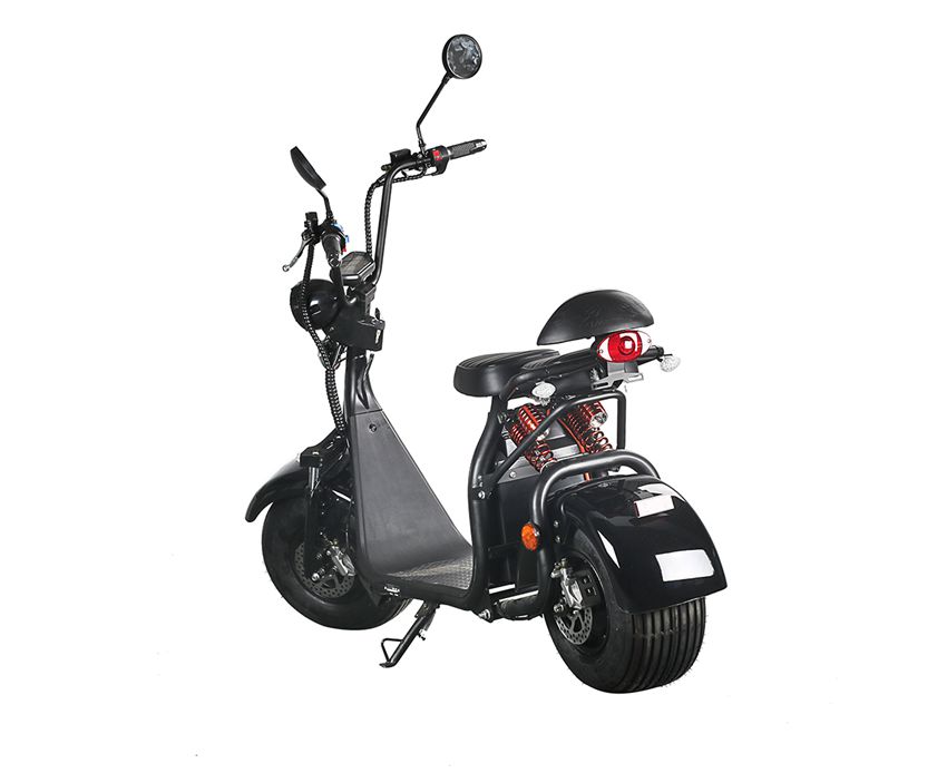 EcoRider EEC Harley Electric Scooter ES056 with Removable Battery