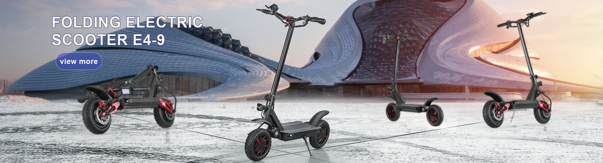 Folding Electric Scooter E4-9