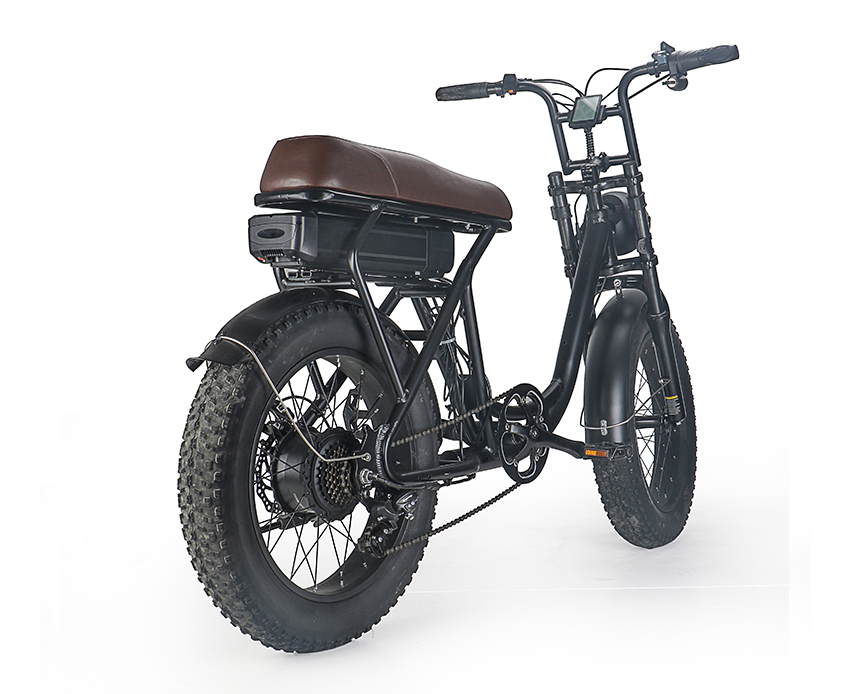 EcoRider E6-1 Fat Tire 20inch Electric Bike