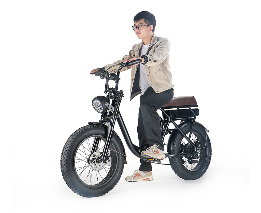 EcoRider E6-1 Fat Tire 20inch Electric Bike