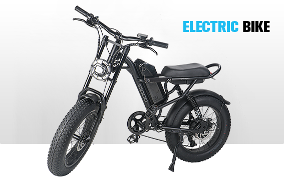 Foldable Electric Bike