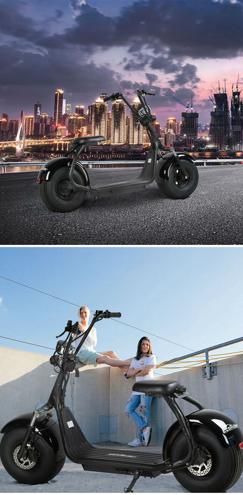 EcoRider EEC Certificate Citycoco LT019 Two Wheel Electric Scooter